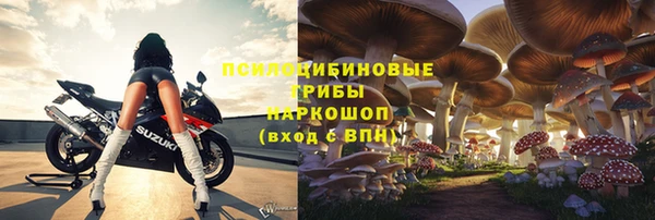 PSILOCYBIN Осинники