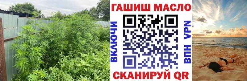 где можно купить   KRAKEN как войти  ТГК концентрат  Лахденпохья 