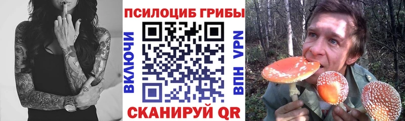 Галлюциногенные грибы Cubensis  площадка какой сайт  Лахденпохья  omg как зайти 